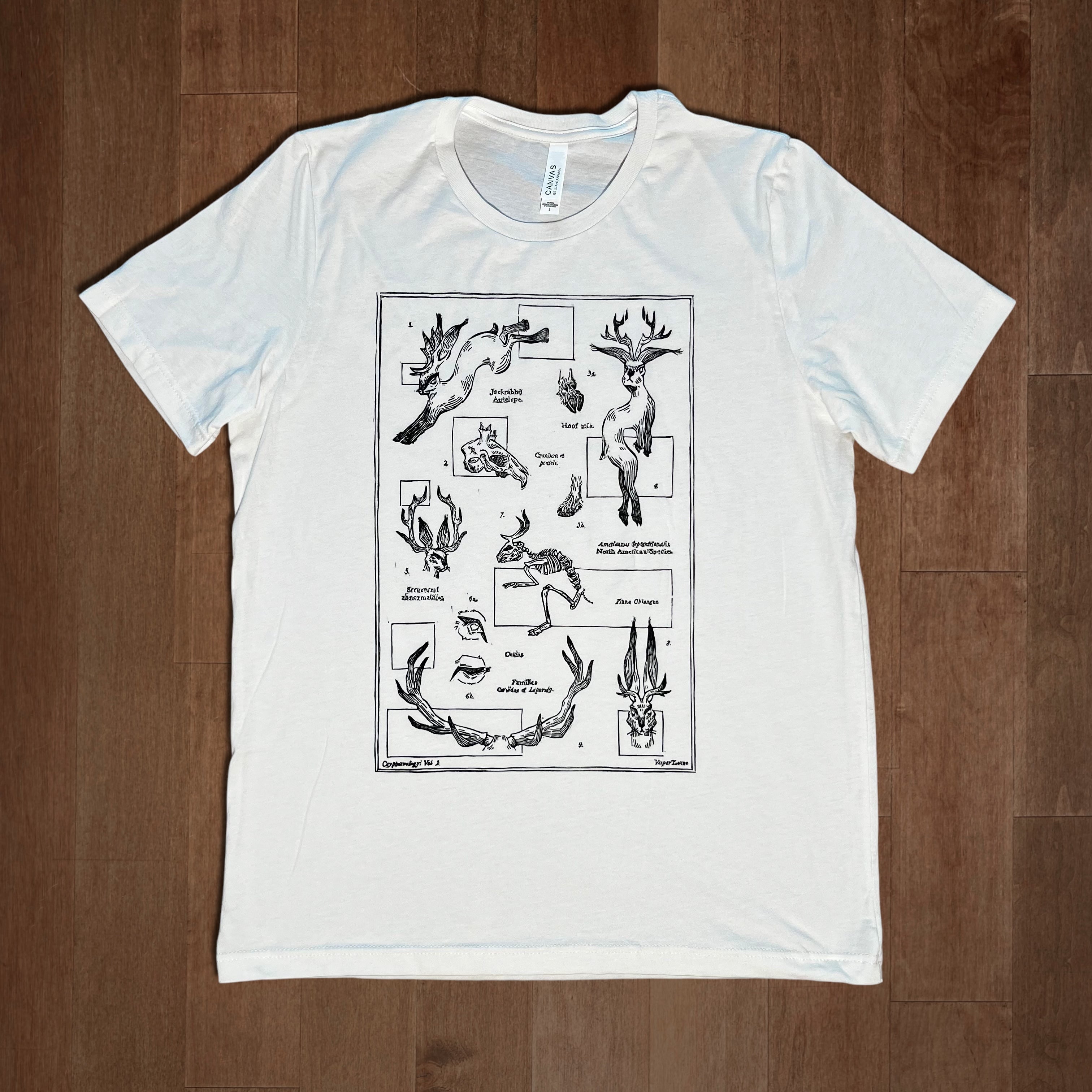 Classification: Jackalope T-Shirt