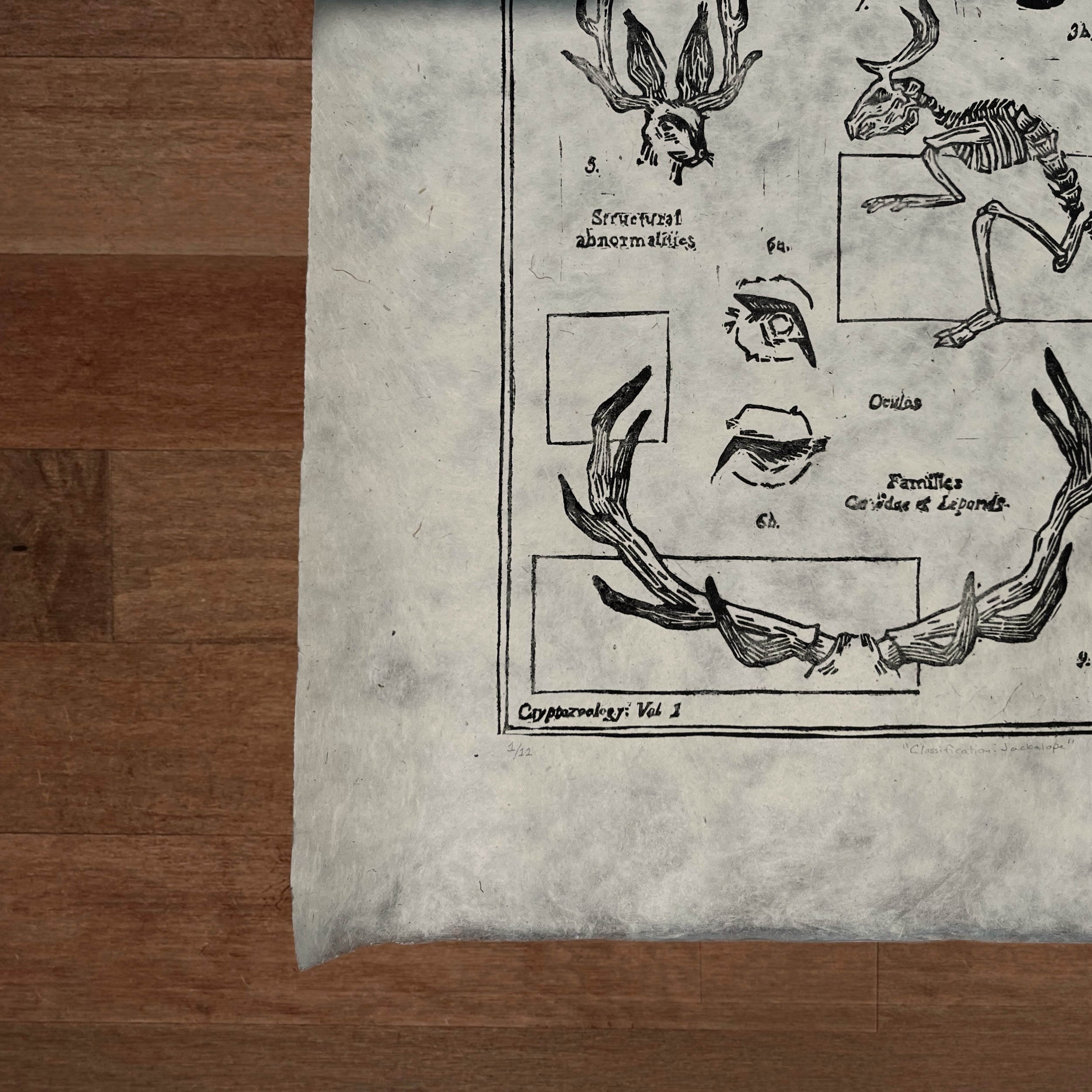 Classification: Jackalope Print (Series of 12)