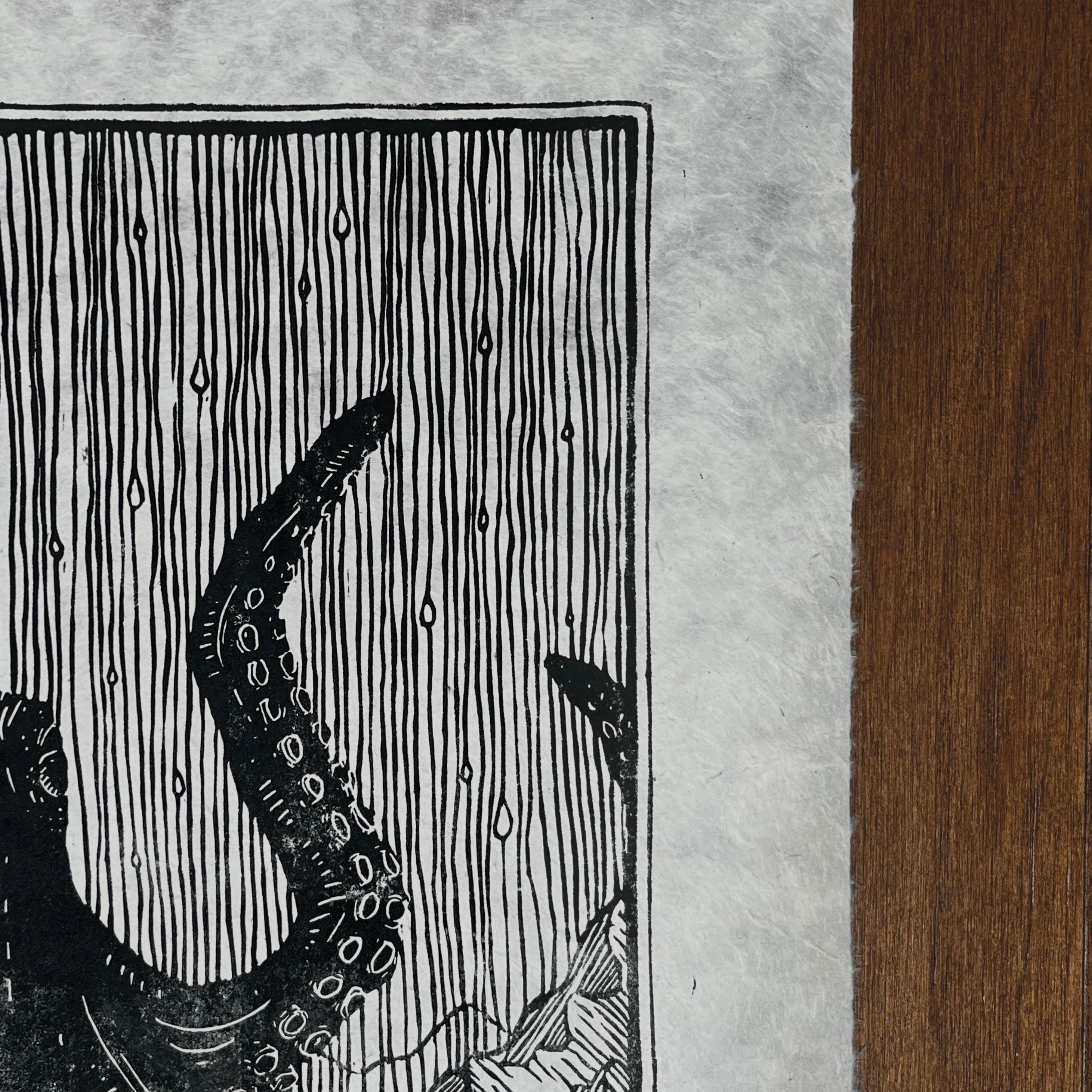 Mount Octopus Print (Series of 12)
