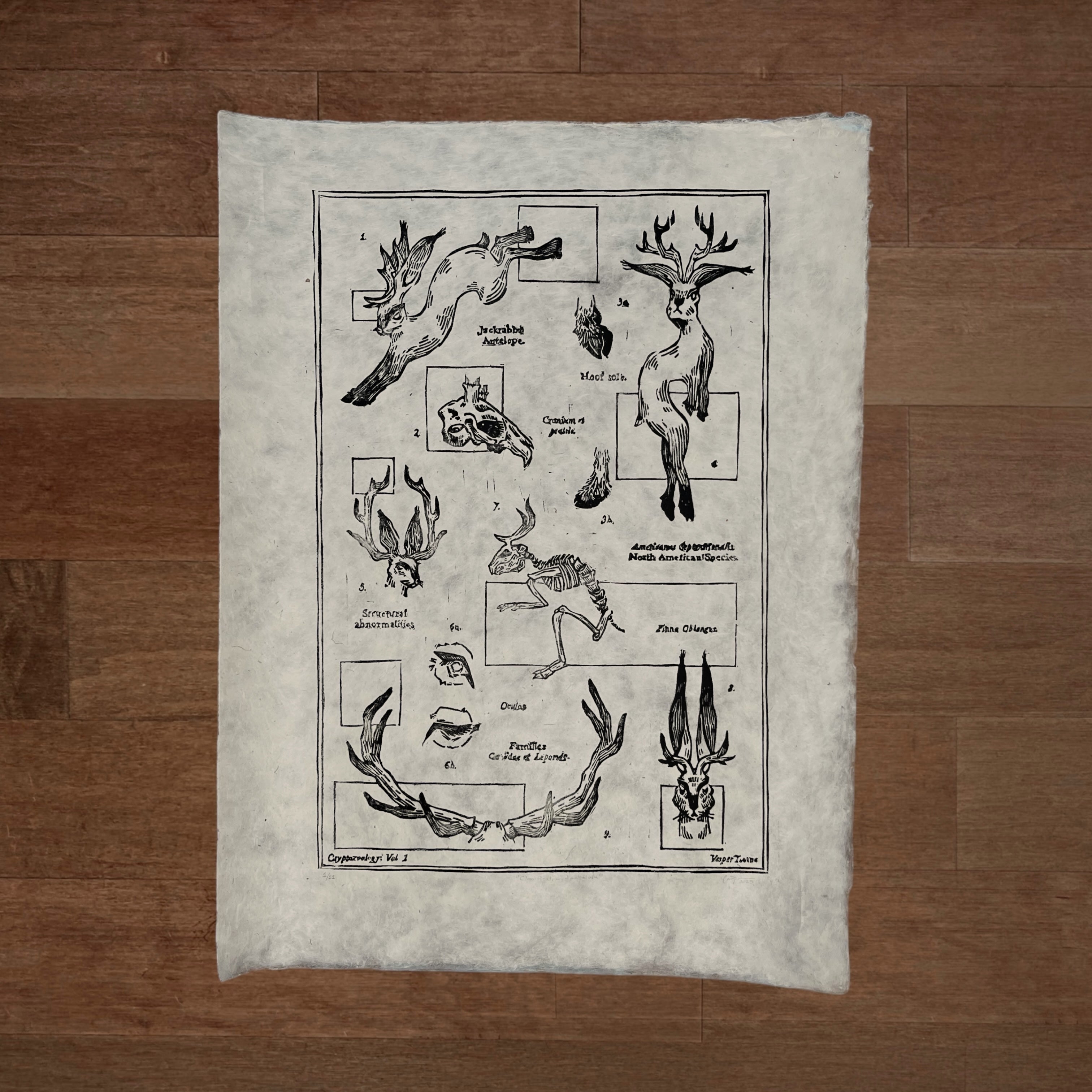 Classification: Jackalope Print (Series of 12)