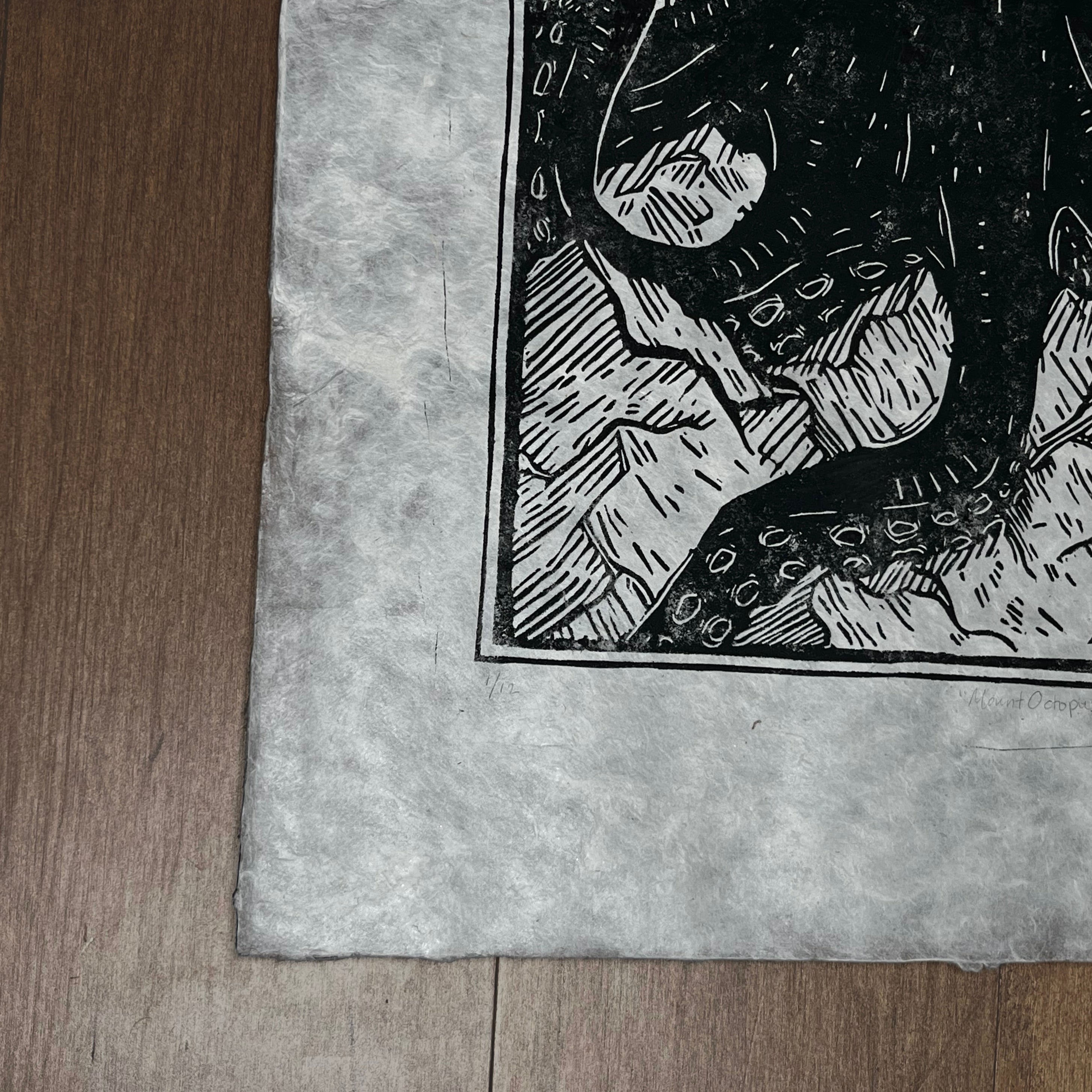 Mount Octopus Print (Series of 12)