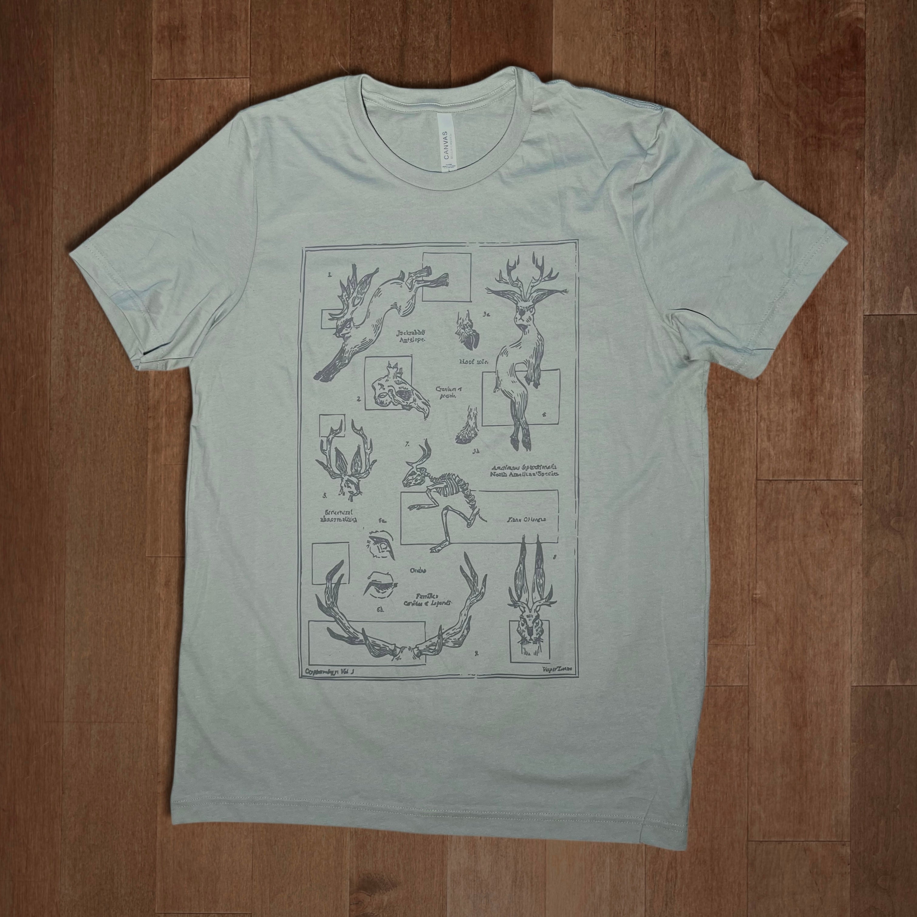 Classification: Jackalope T-Shirt