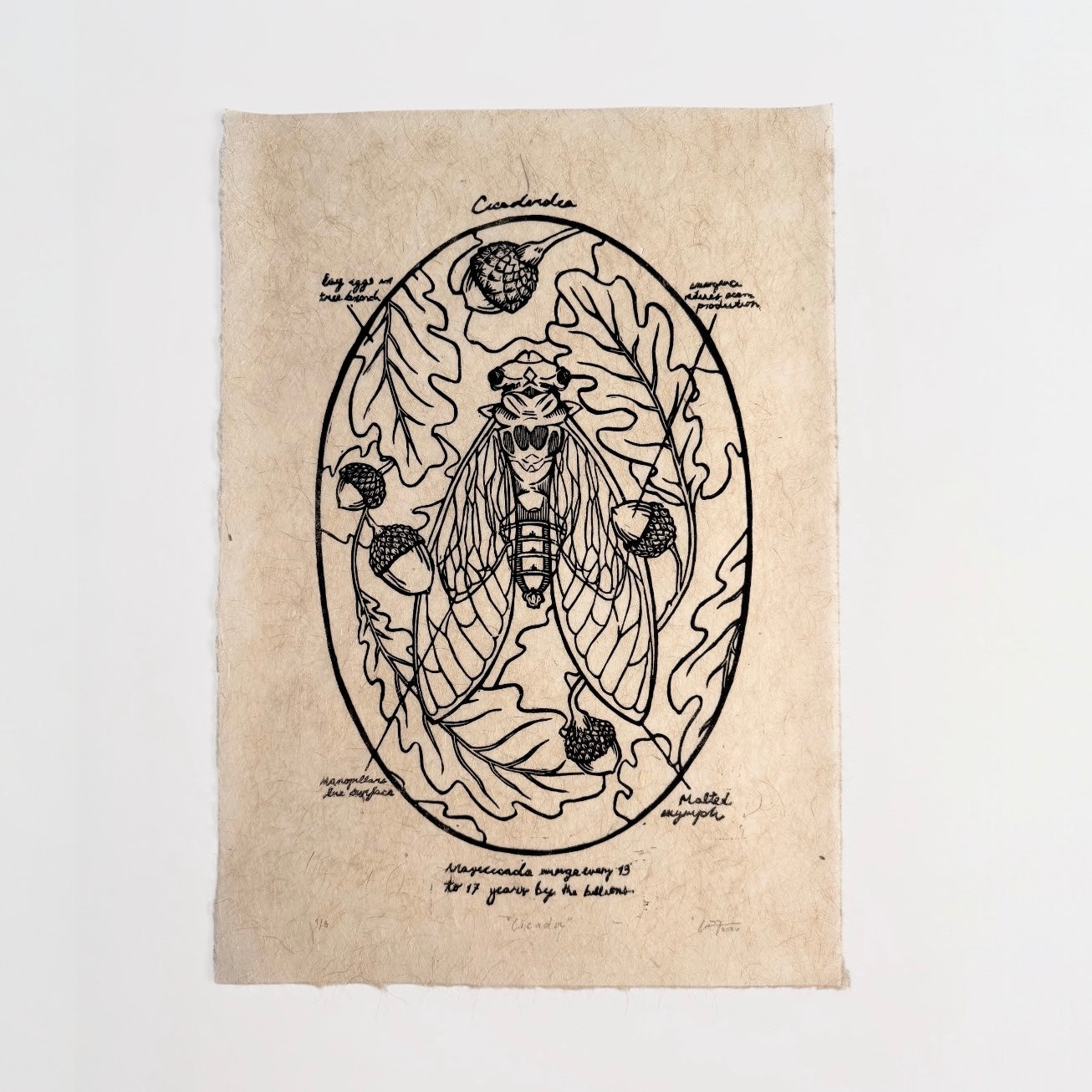 Cicada Print (Series of 8)