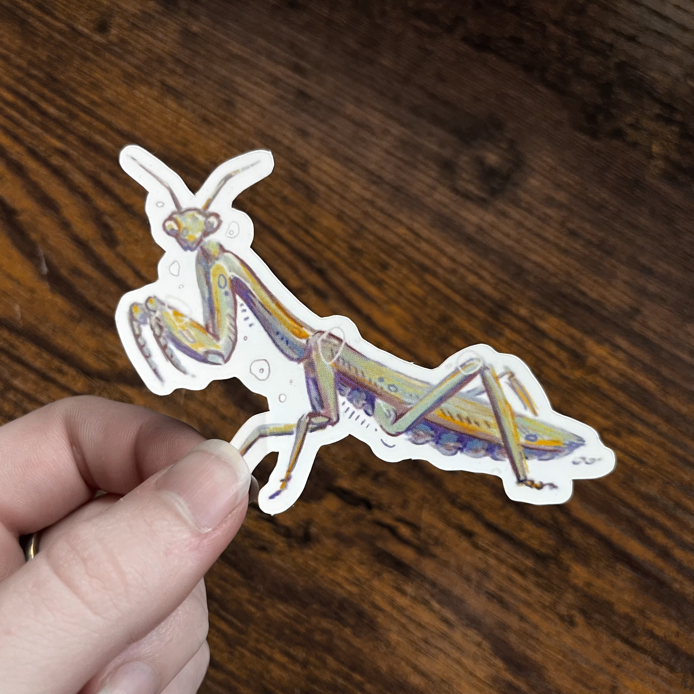 Mantis Sticker