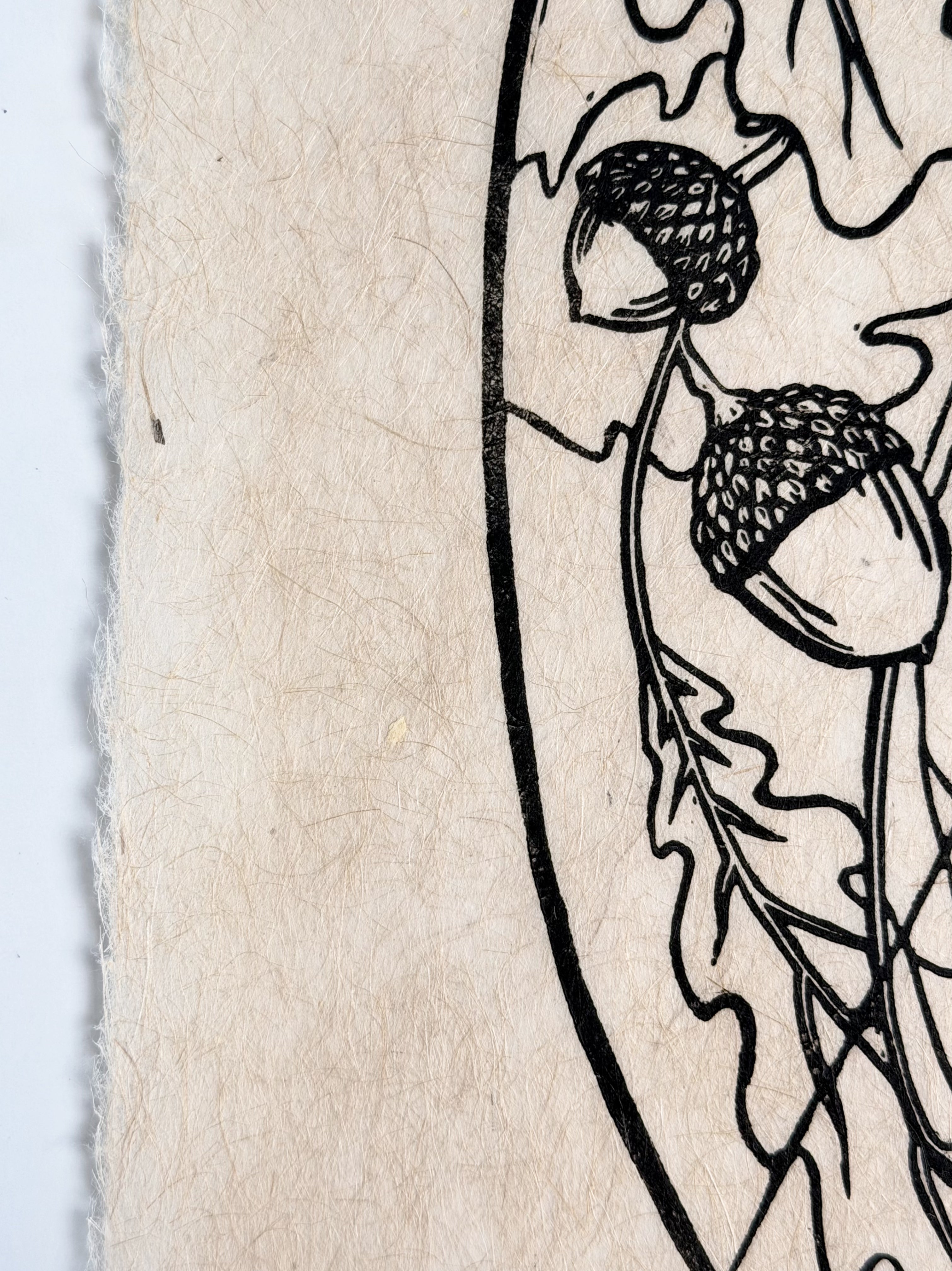 Cicada Print (Series of 8)