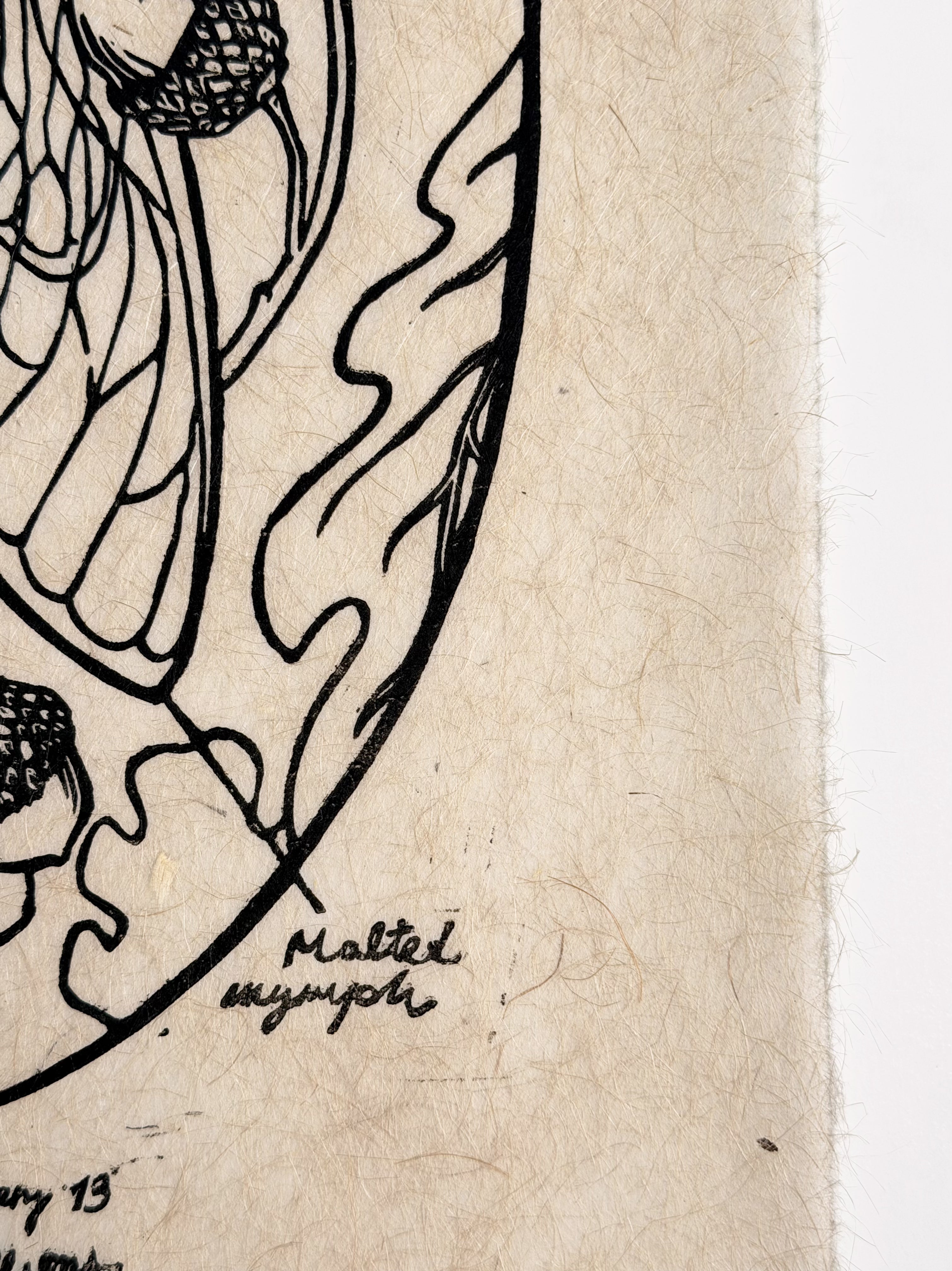 Cicada Print (Series of 8)