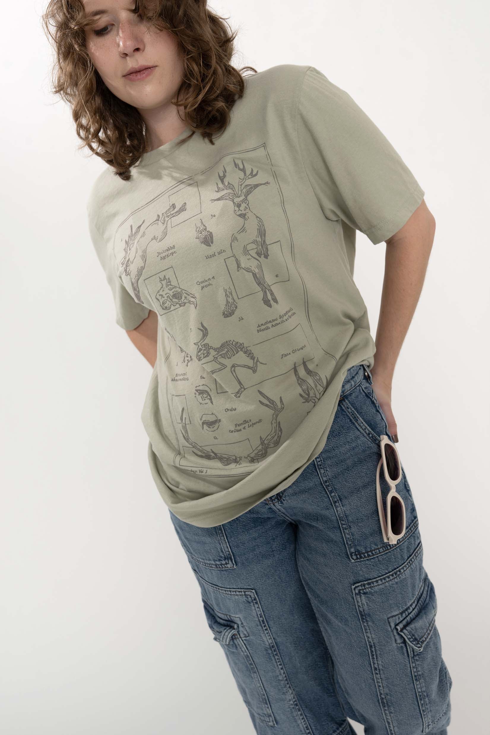 Classification: Jackalope T-Shirt