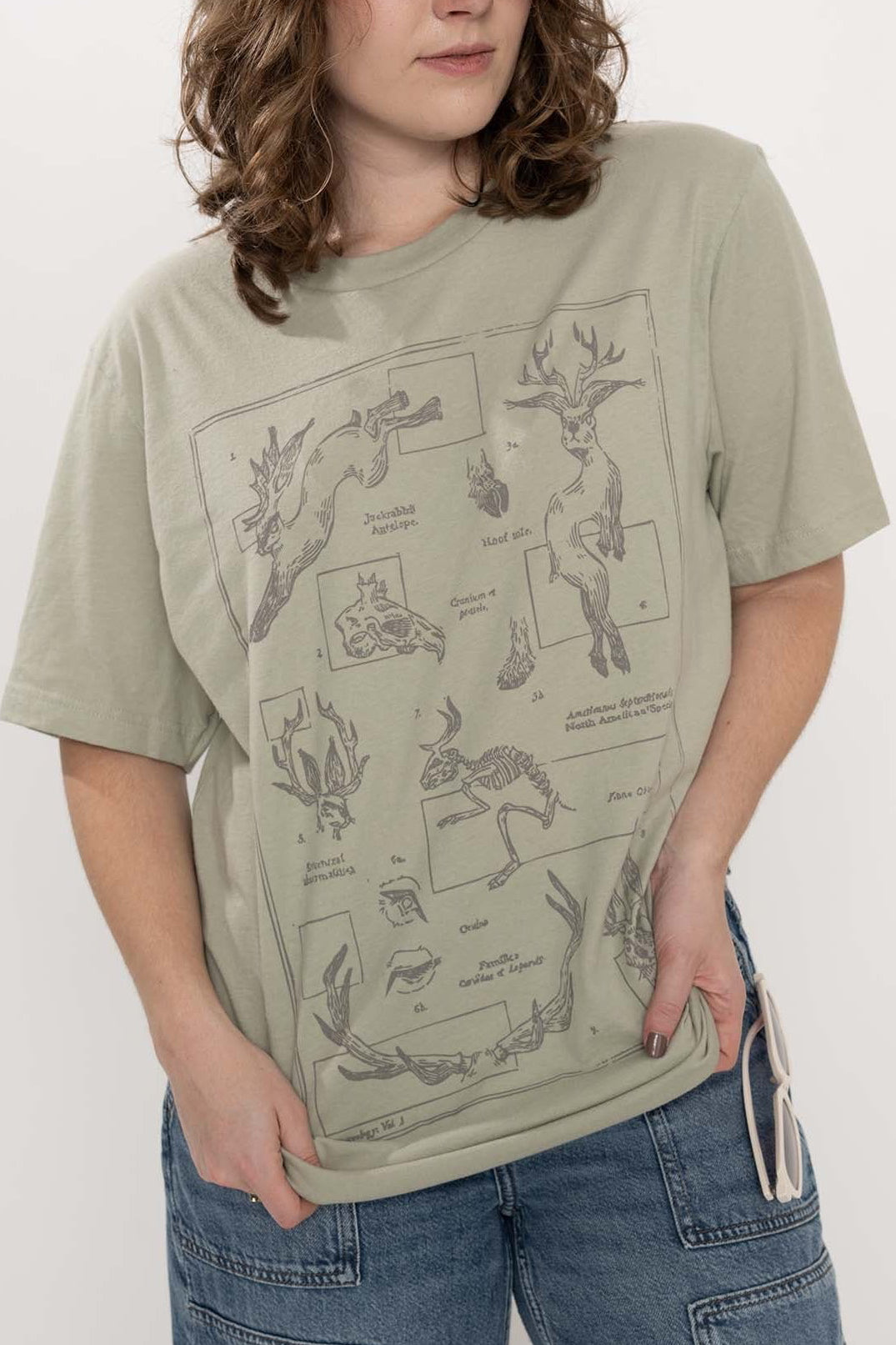 Classification: Jackalope T-Shirt