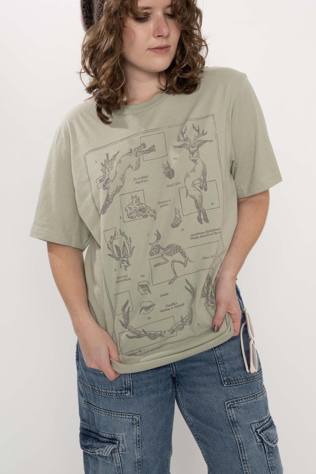 Classification: Jackalope T-Shirt