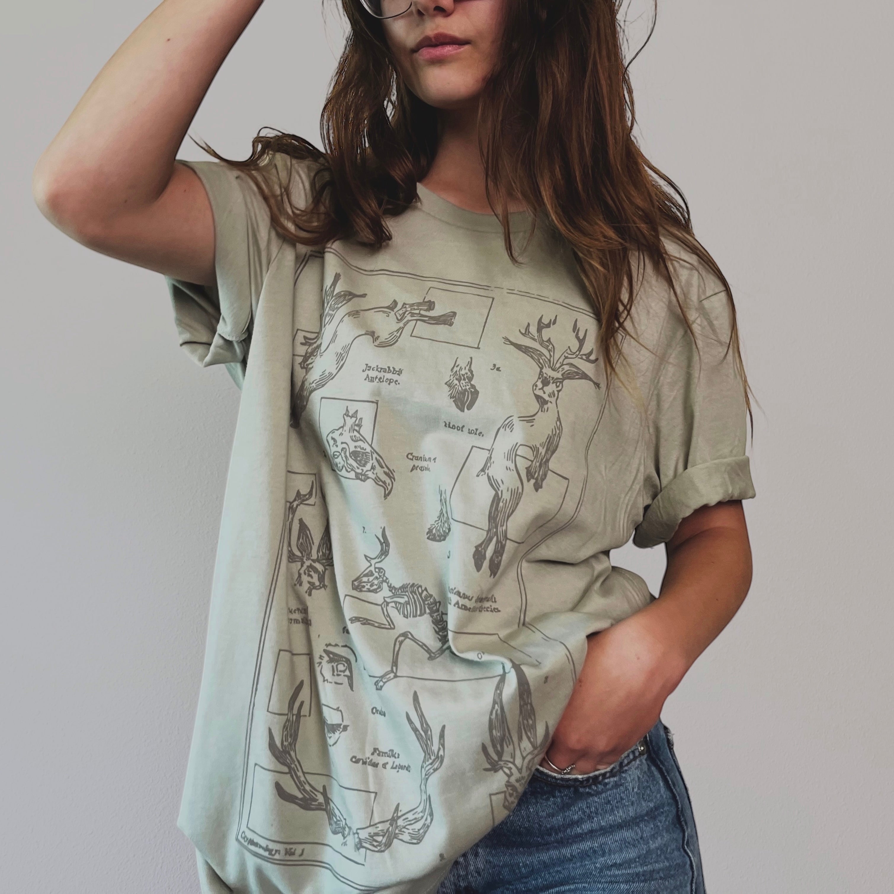 Classification: Jackalope T-Shirt