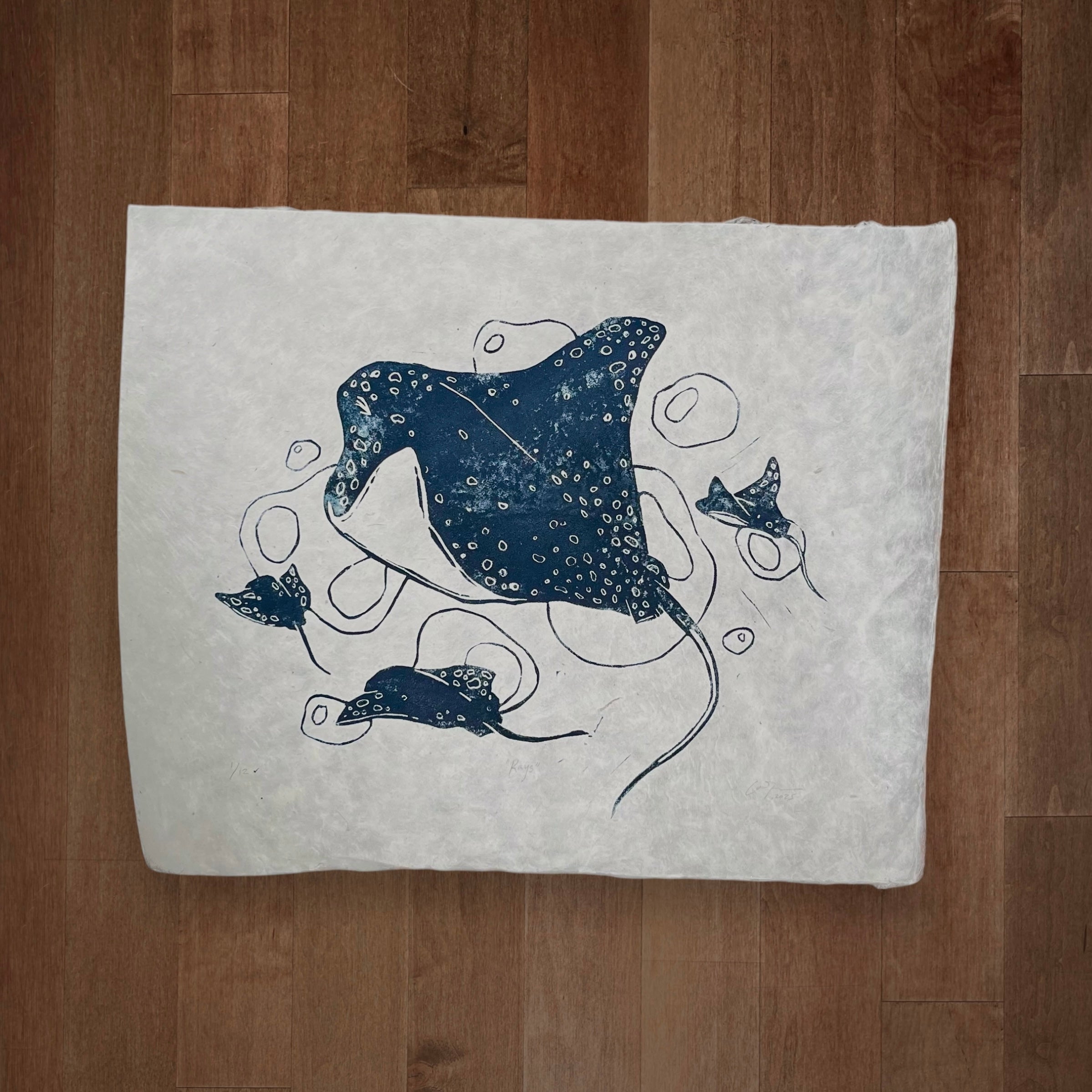 Rays Print (Series of 12)