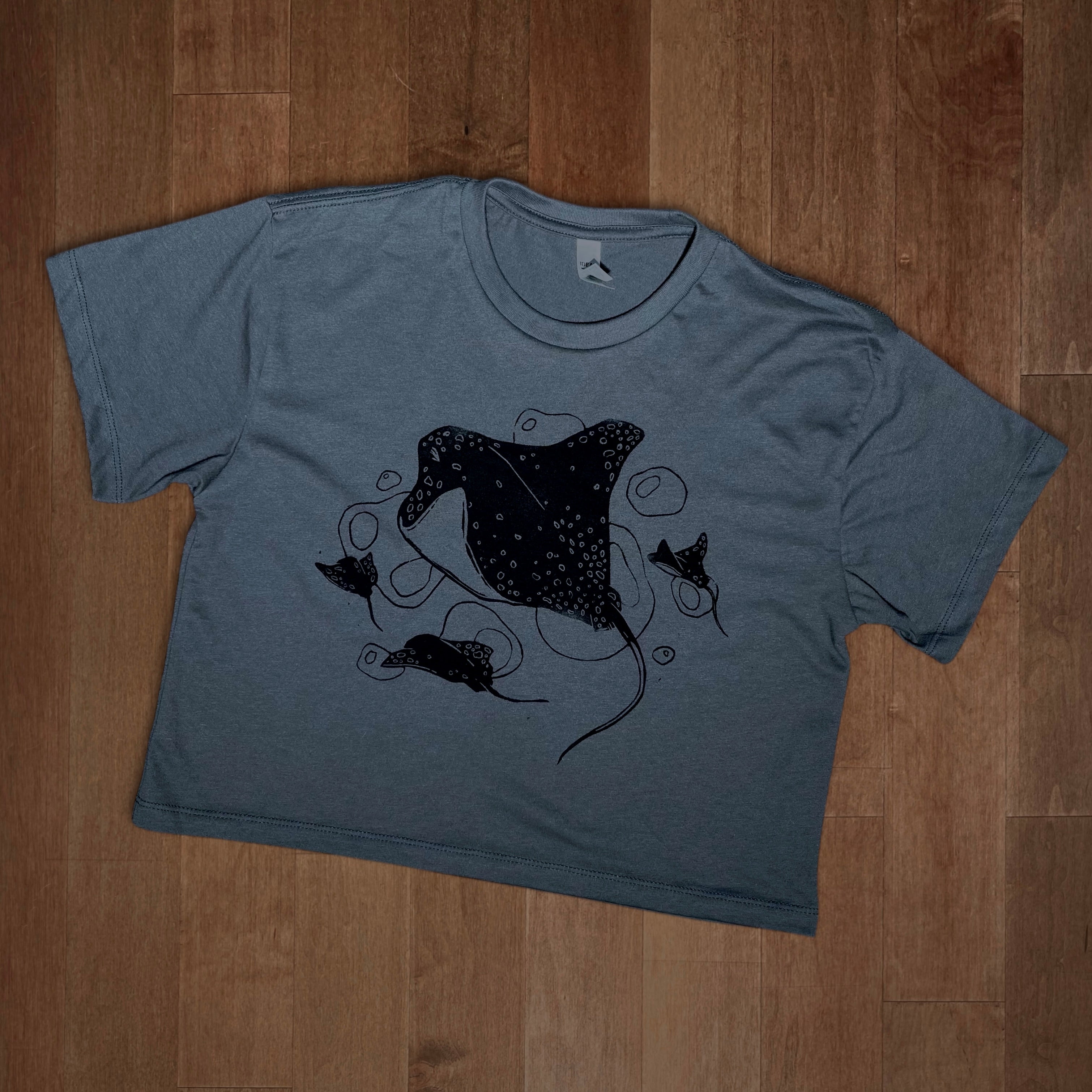 Rays Crop Top