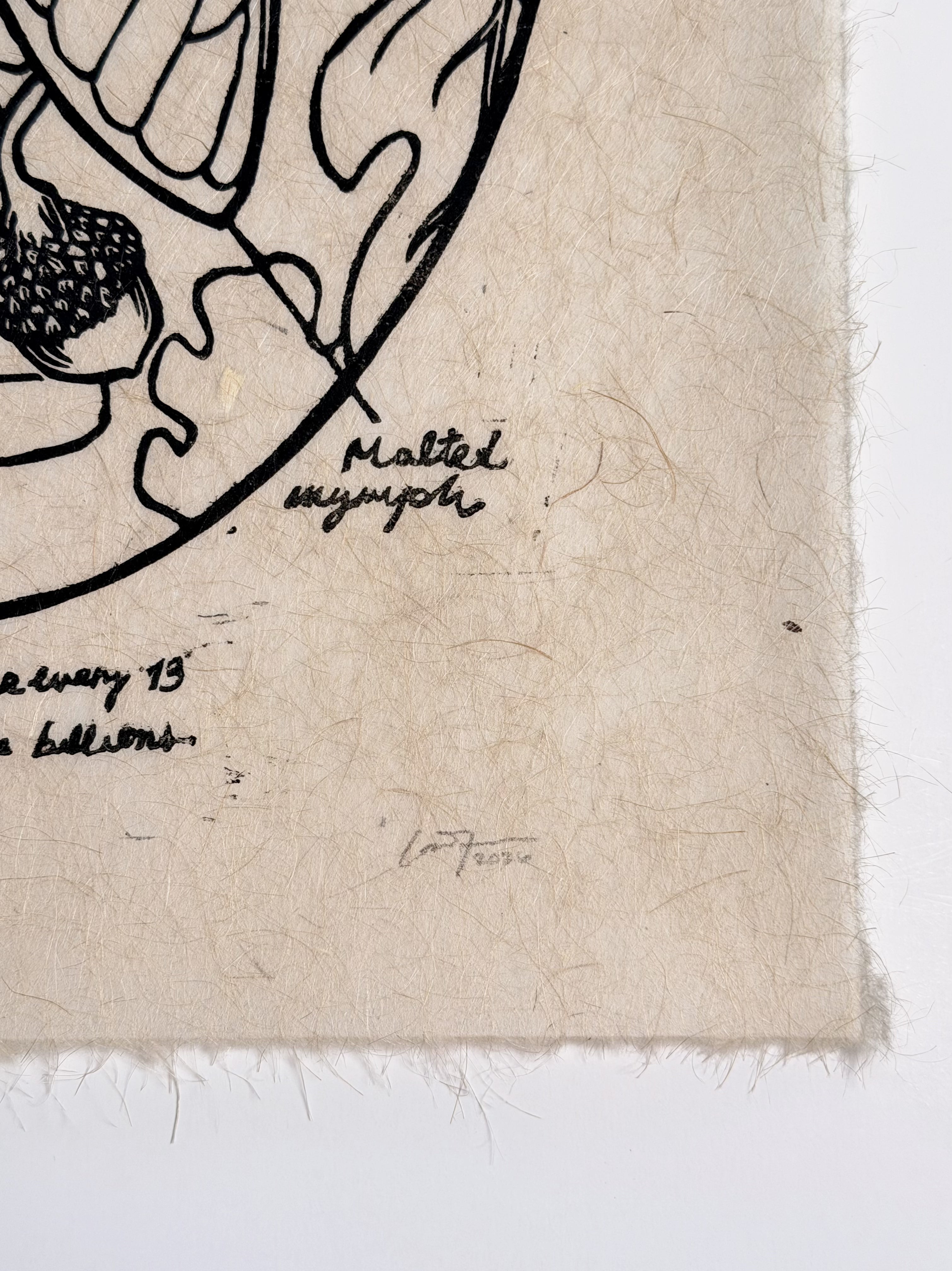 Cicada Print (Series of 8)