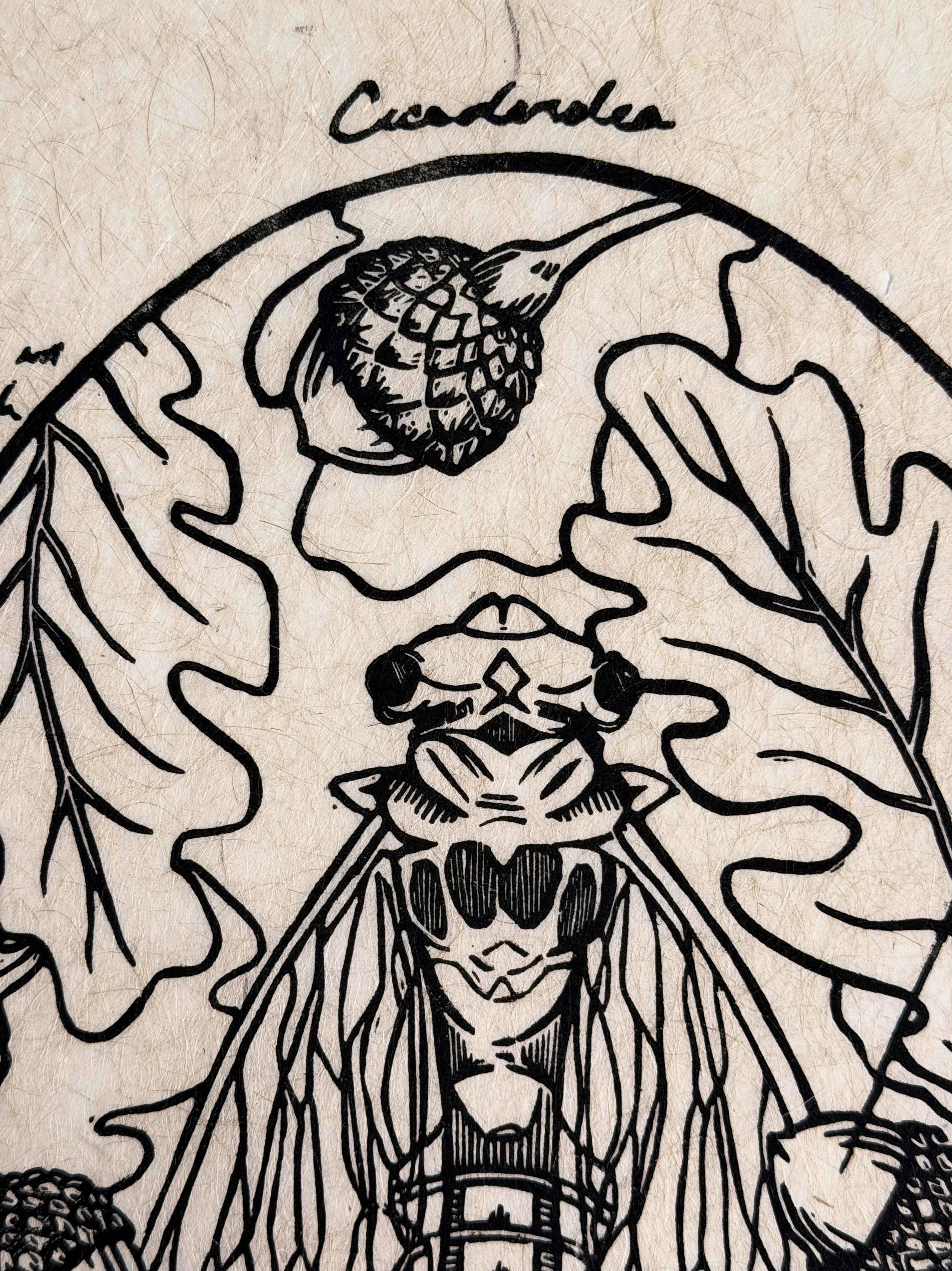 Cicada Print (Series of 8)